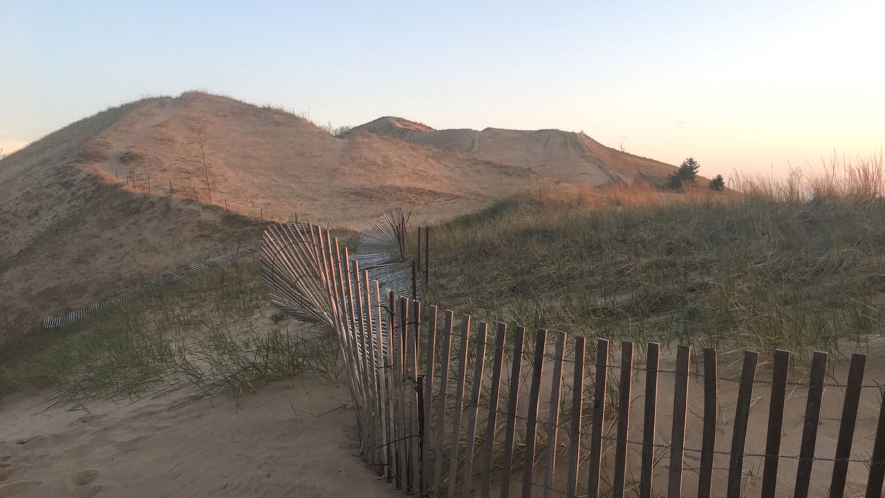 Photo of Others in South Haven