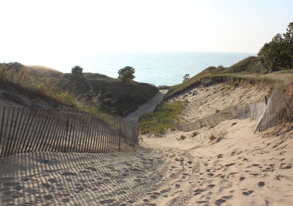 Photo of Others in South Haven