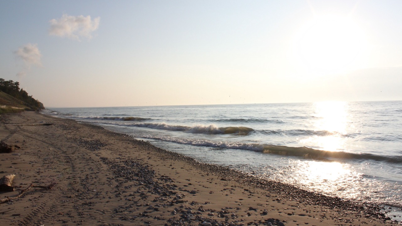 Photo of Others in South Haven