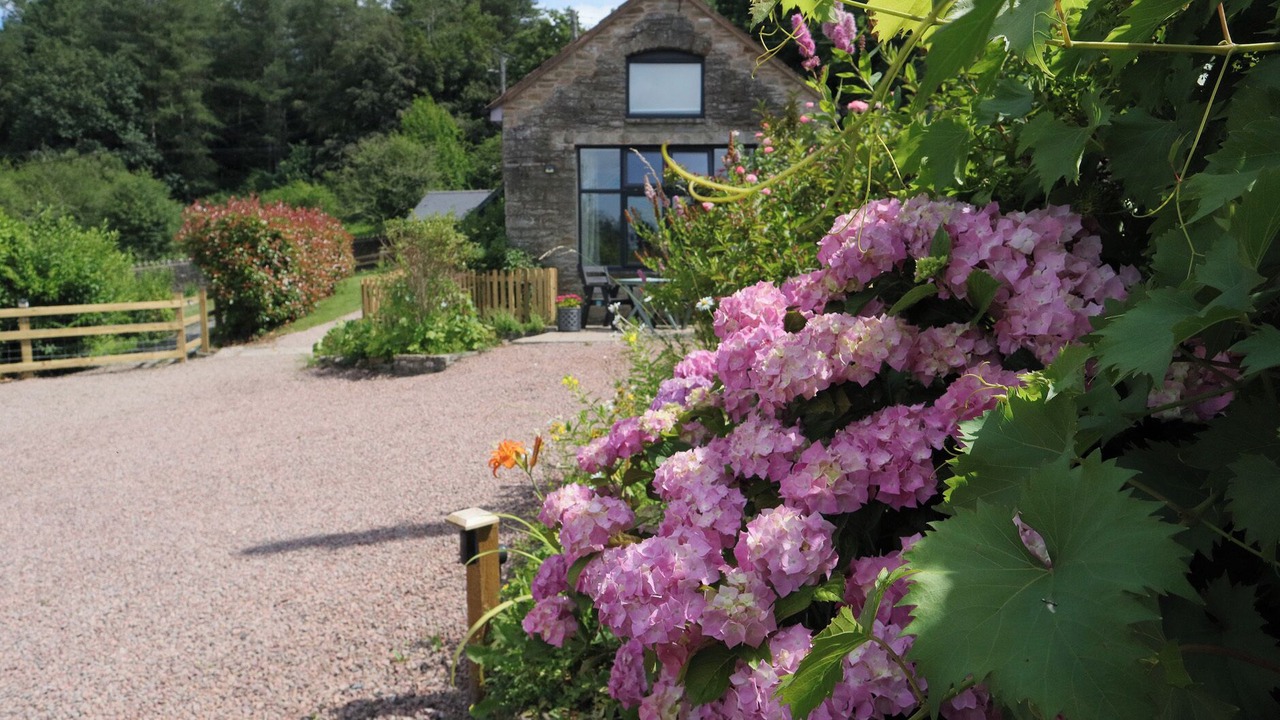 Photo of Outdoor in Parkend