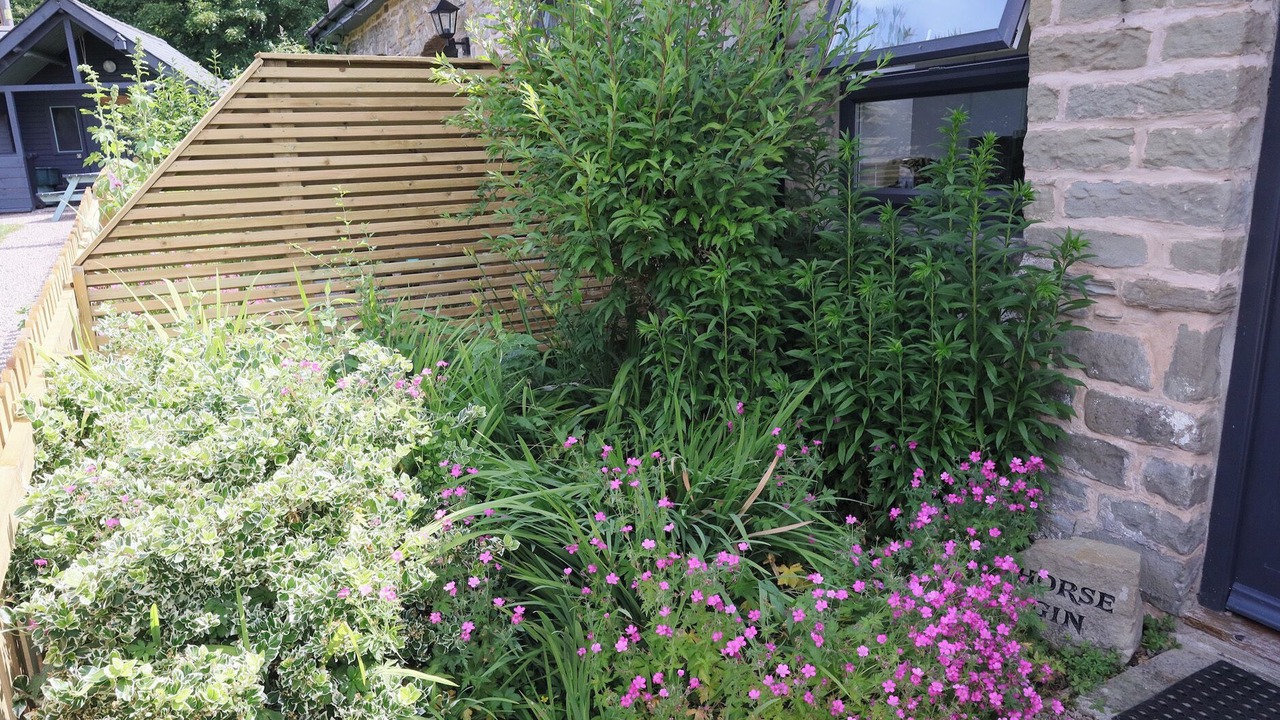 Photo of Outdoor in Parkend