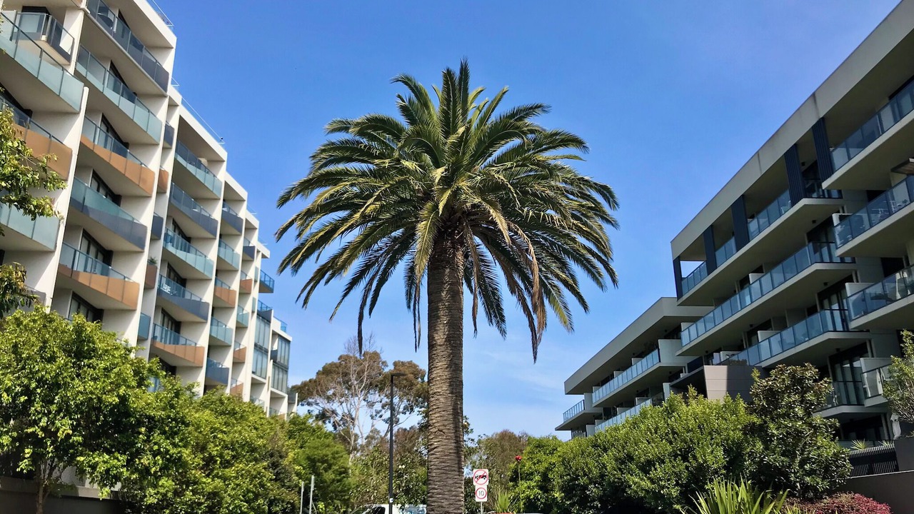 Photo of Outdoor in Sandringham