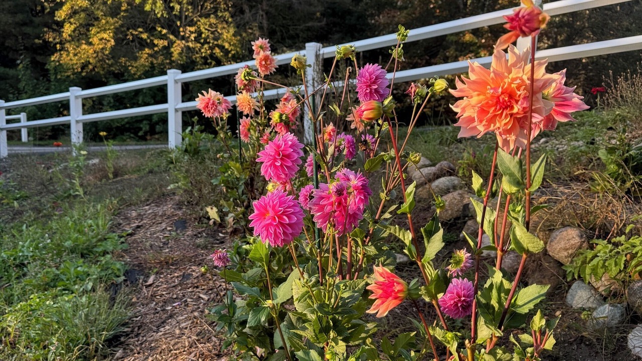Photo of Outdoor in Fife Lake