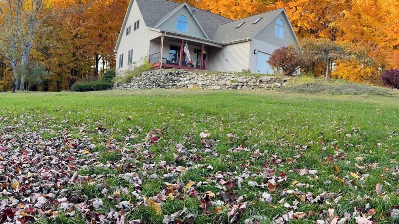 Photo of Outdoor in Fife Lake