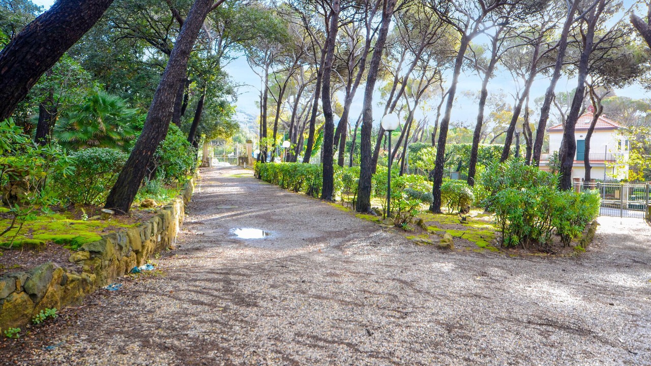 Photo of Others in Quercianella