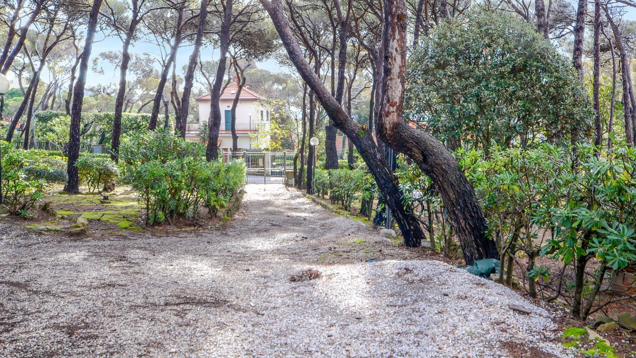Photo of Others in Quercianella