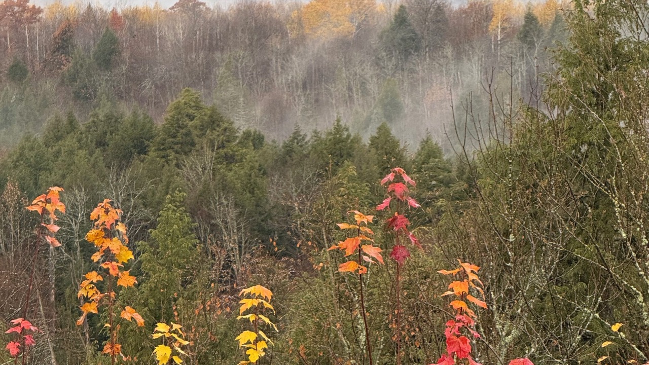 Photo of Others in Ontonagon