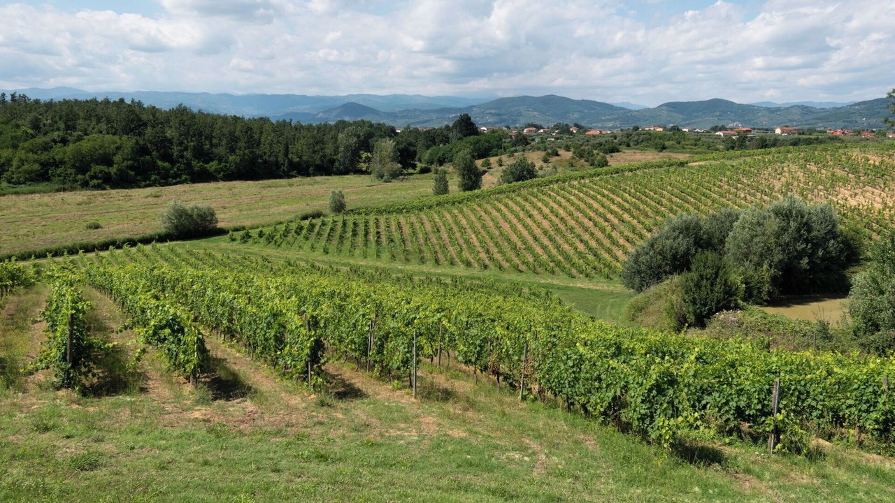 Photo of Outdoor in Stabbia