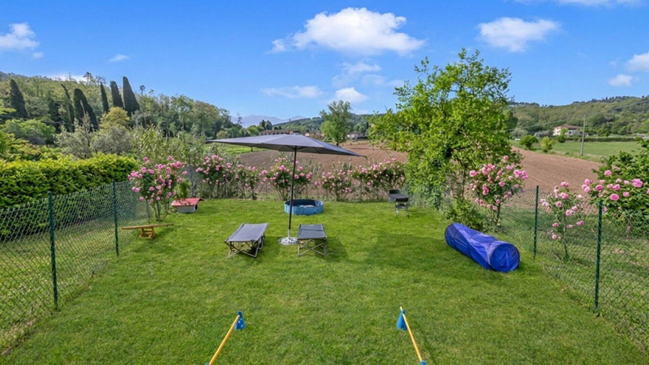 Photo of Outdoor in Lucca