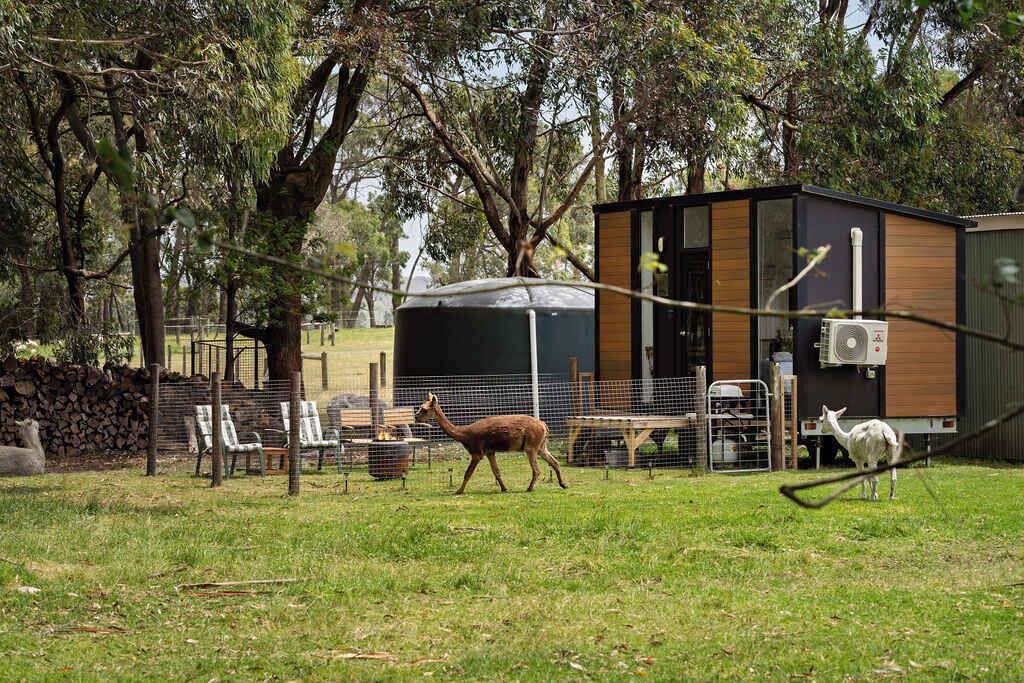 Photo of Outdoor in Kernot