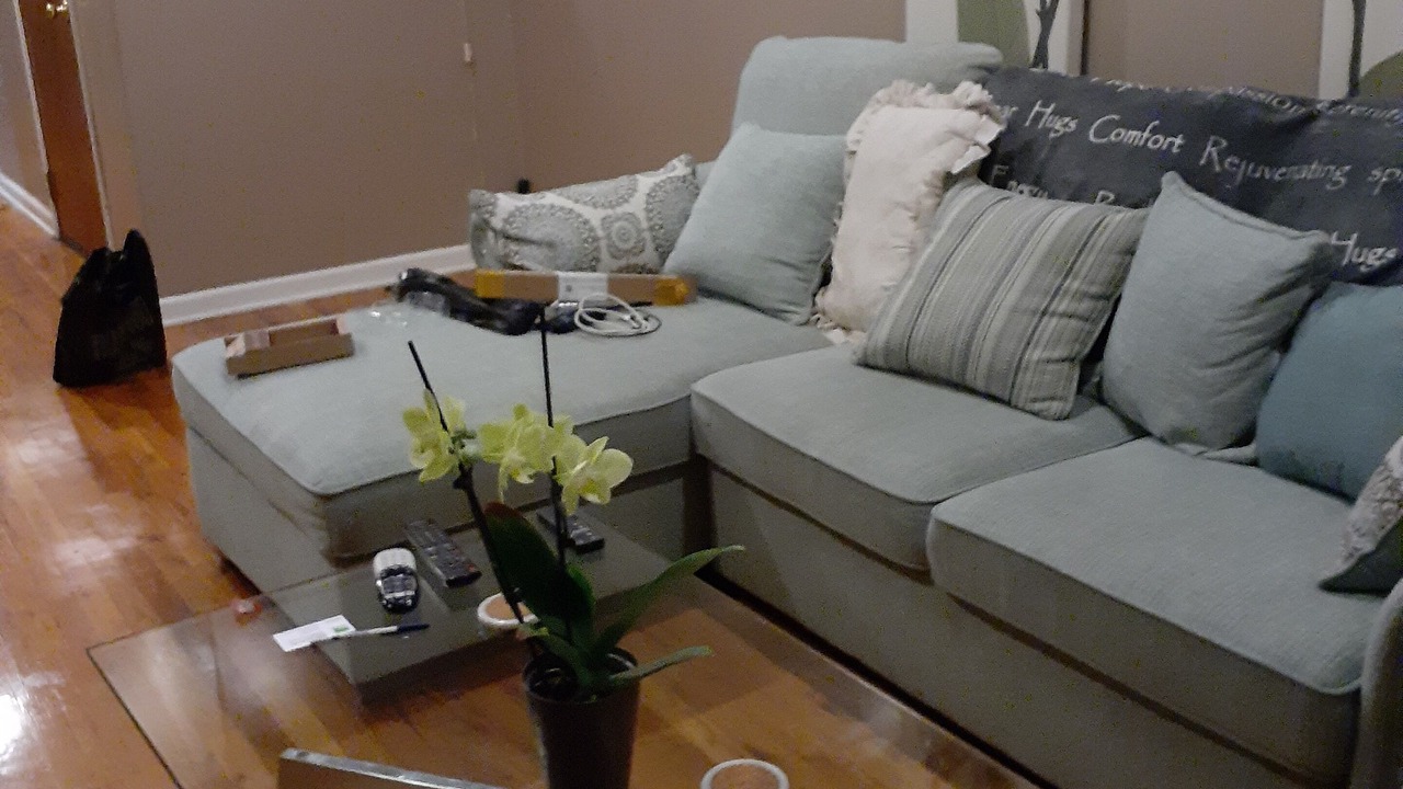 Photo of Livingroom in Jackson Park Highlands
