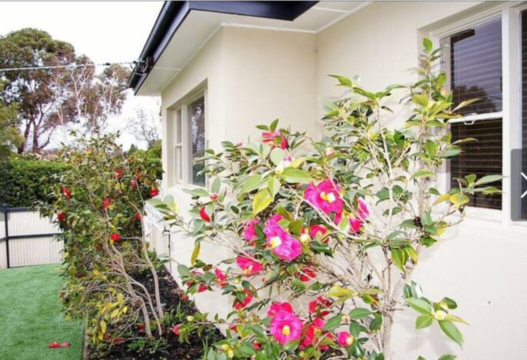 Photo of Outdoor in Balwyn