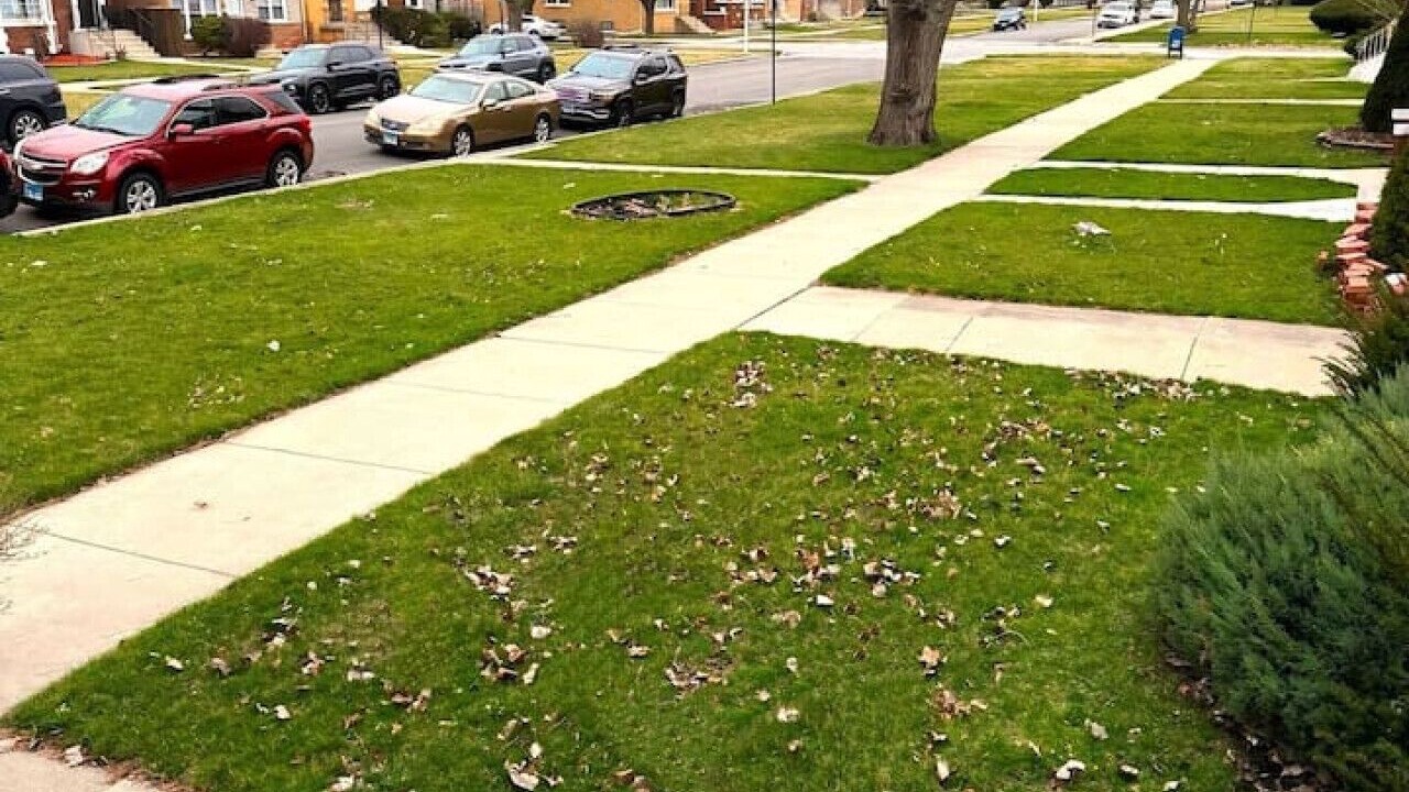 Photo of Outdoor in Roseland