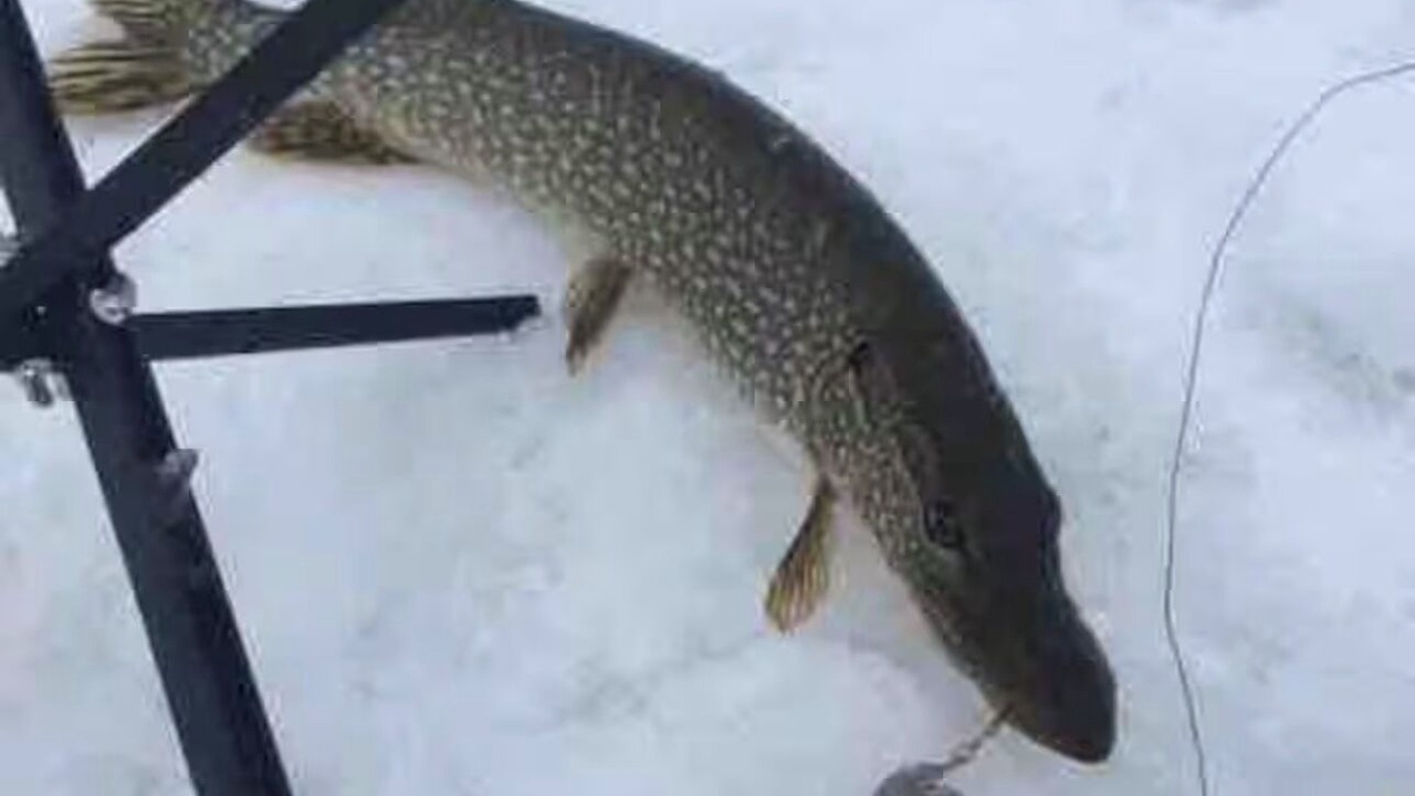 Photo of Others in Manistique