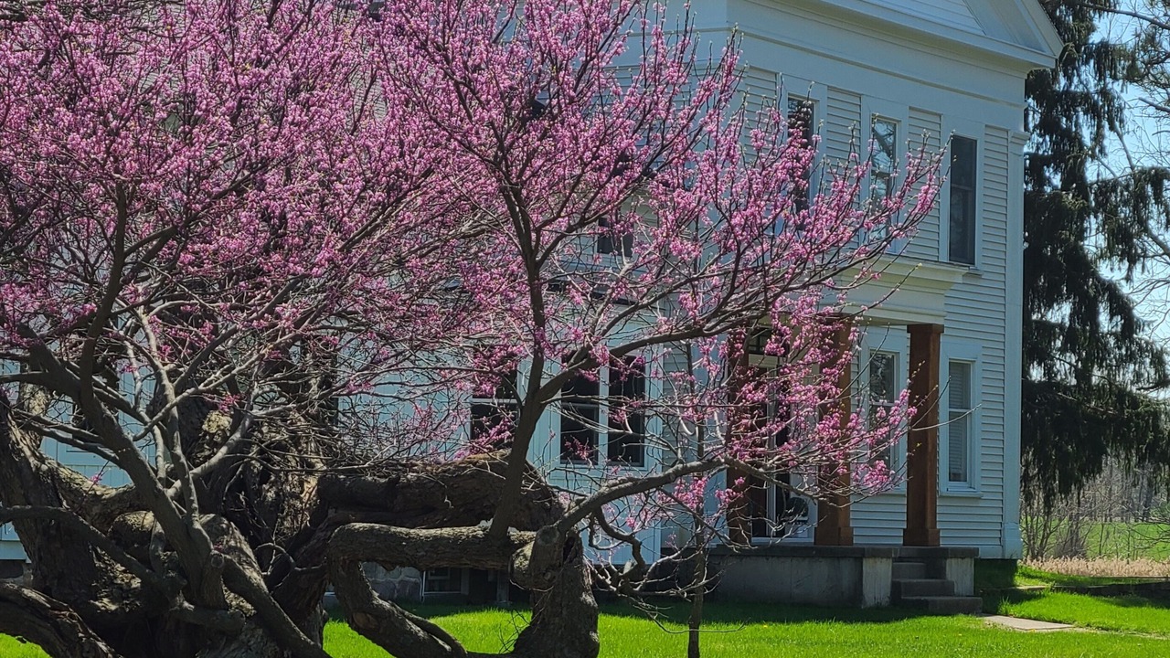 Photo of Outdoor in Howell