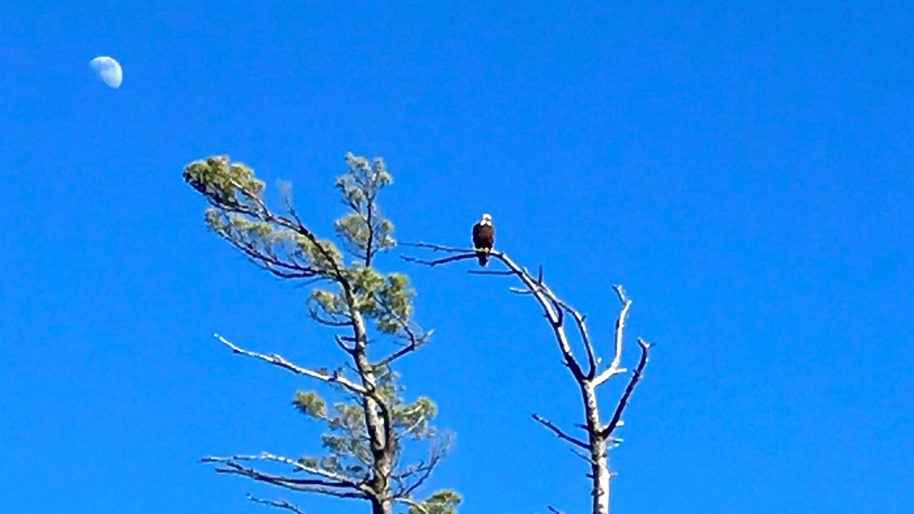 Photo of Others in Michigamme