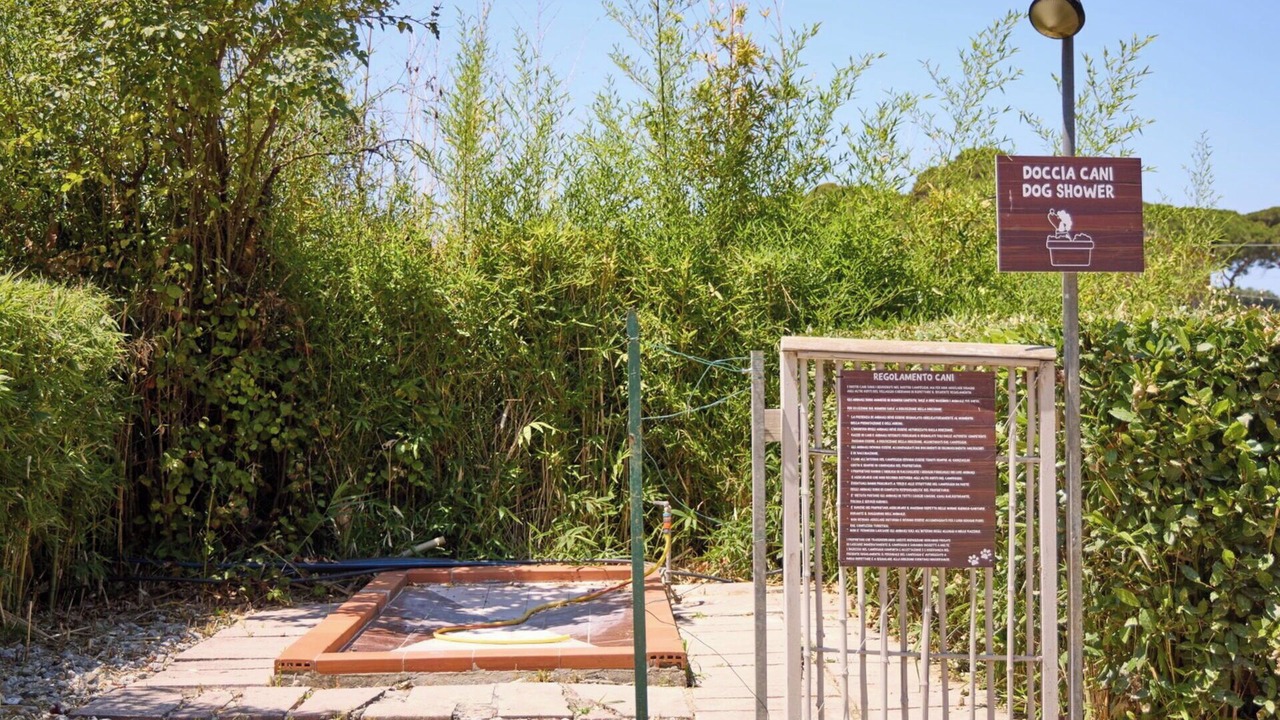 Photo of Outdoor in Capalbio