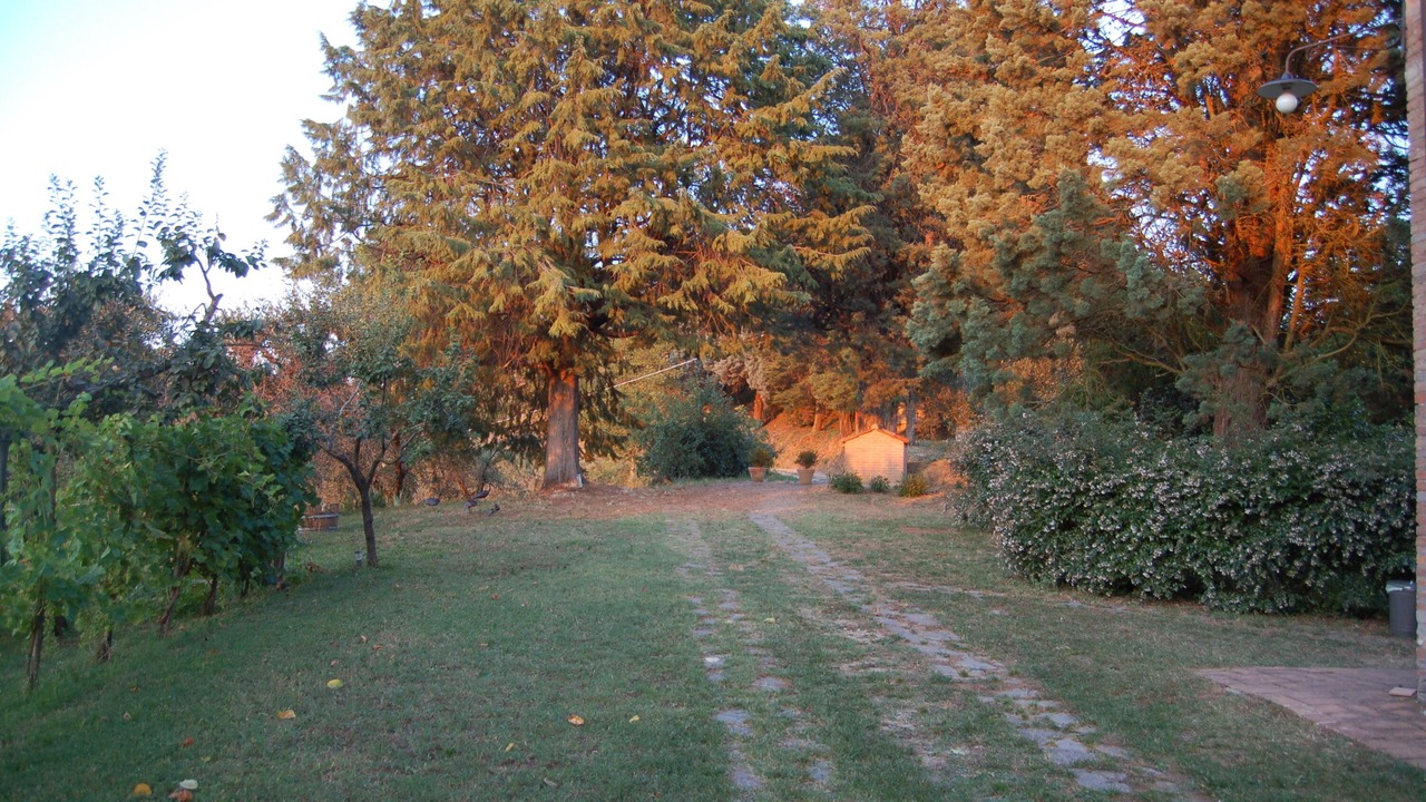 Photo of Outdoor in Monteleone d'Orvieto