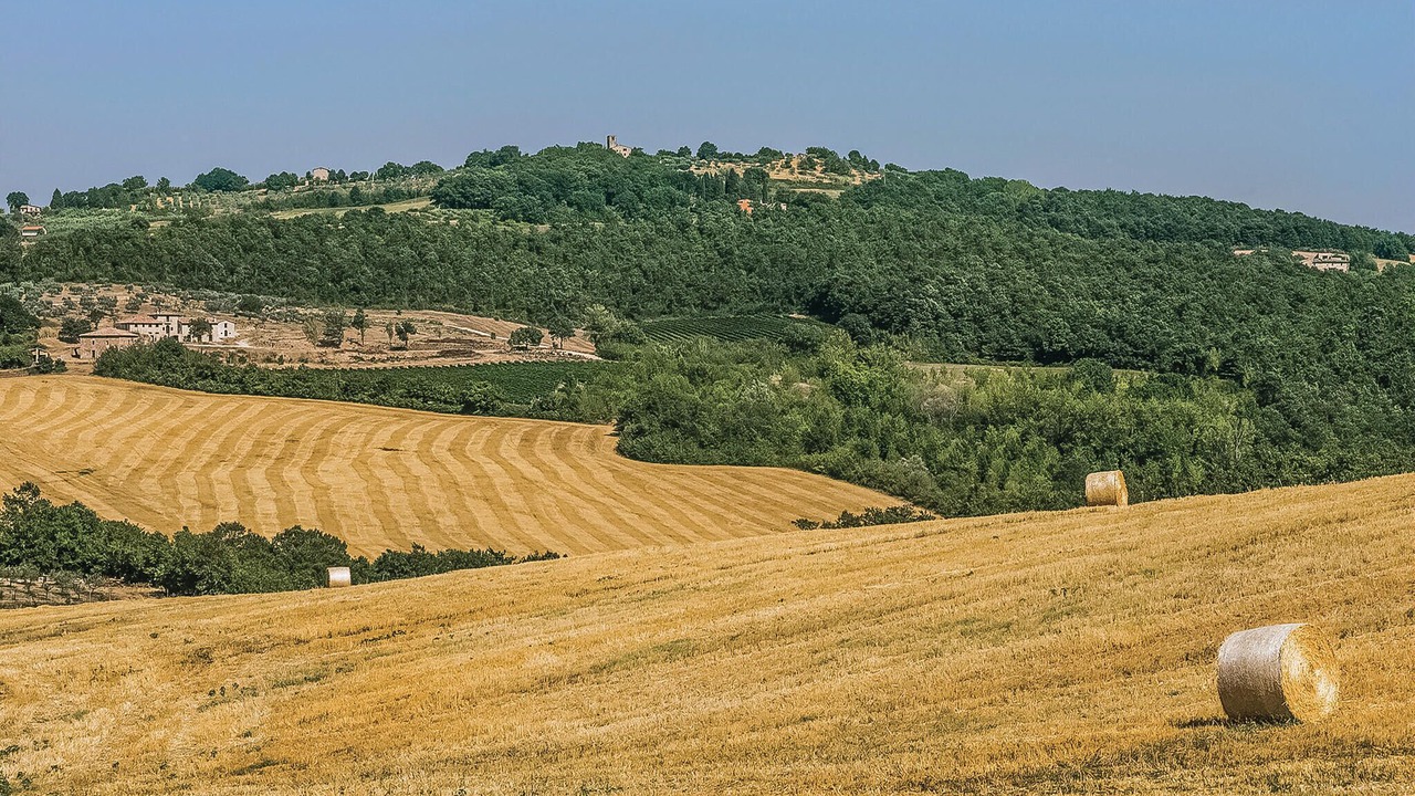 Photo of Others in Todi