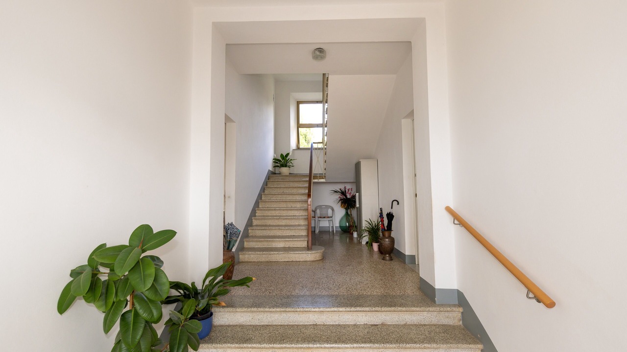 Photo of Others in Rosignano Marittimo