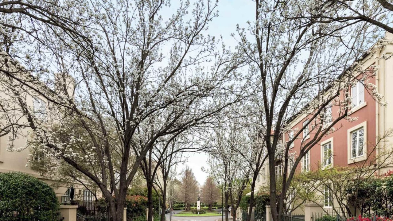 Photo of Outdoor in East Melbourne