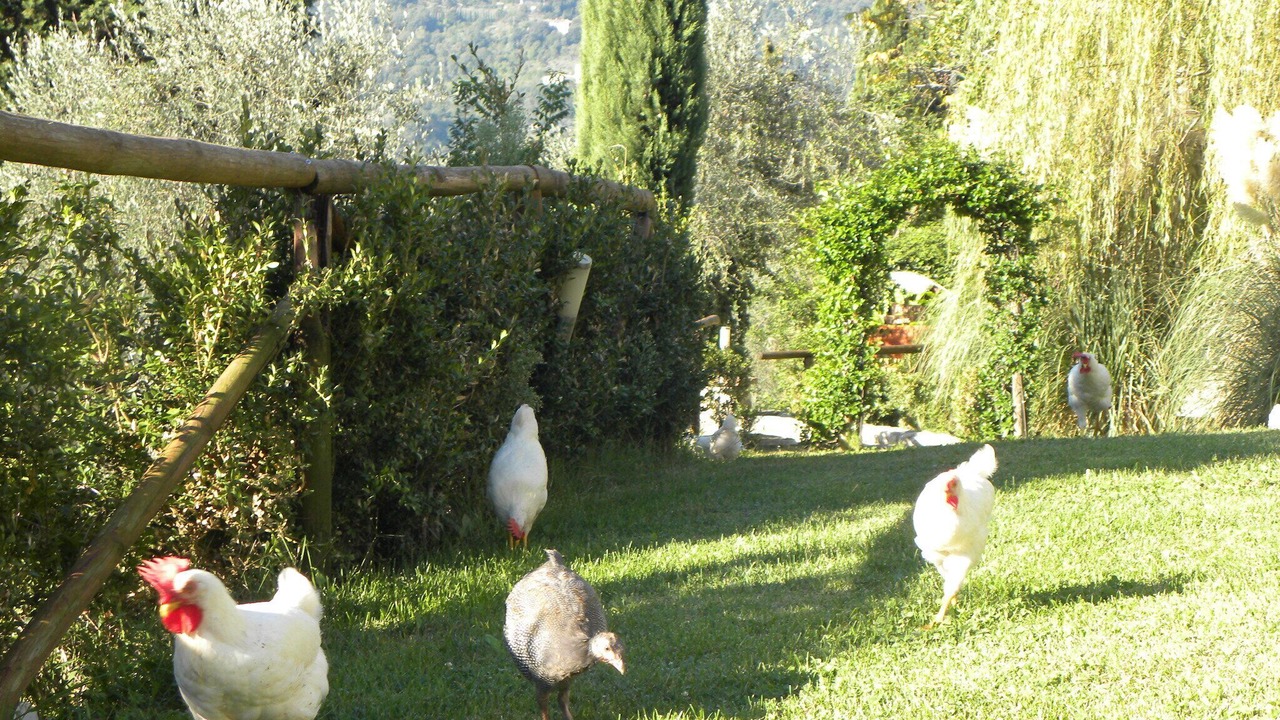 Photo of Outdoor in Rignano sull'Arno