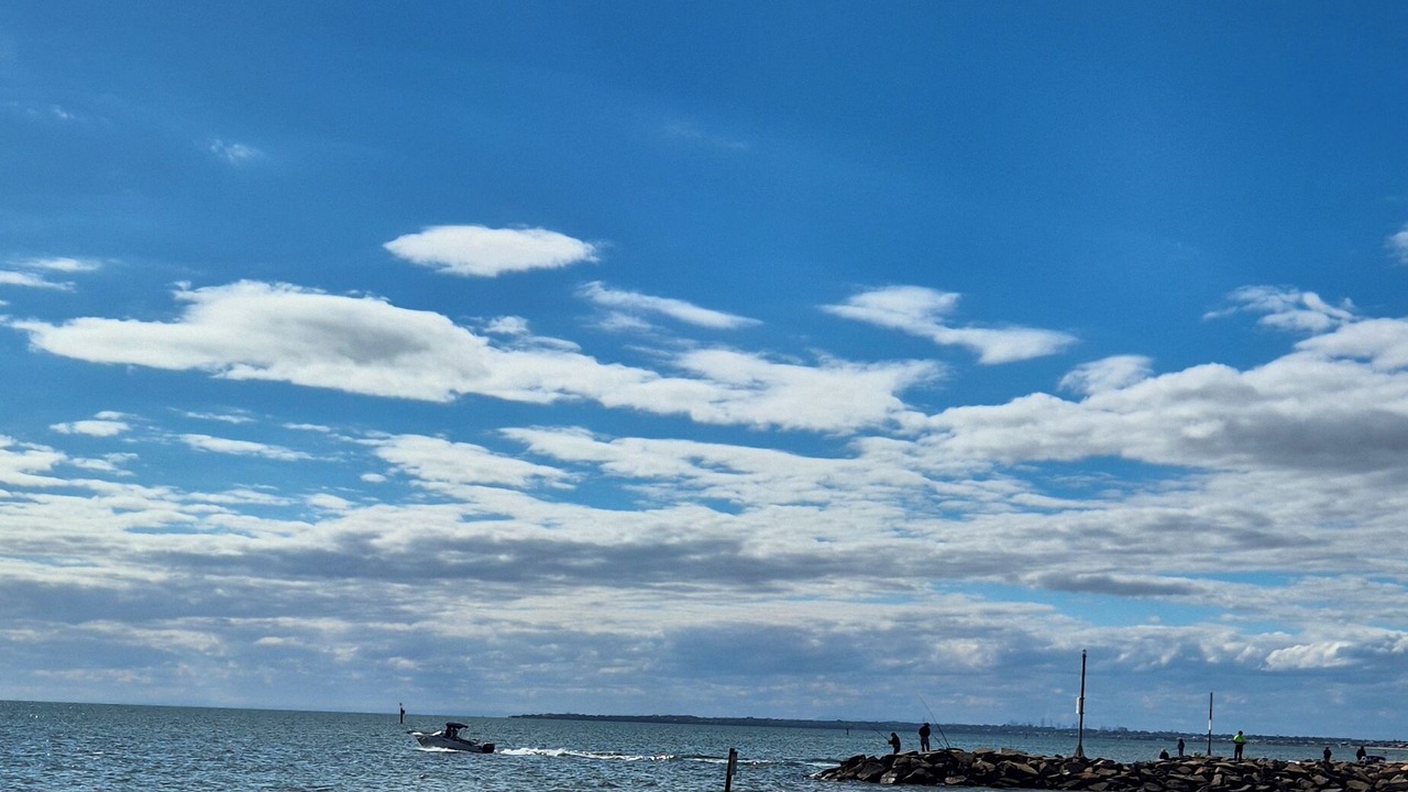 Photo of Others in Carrum