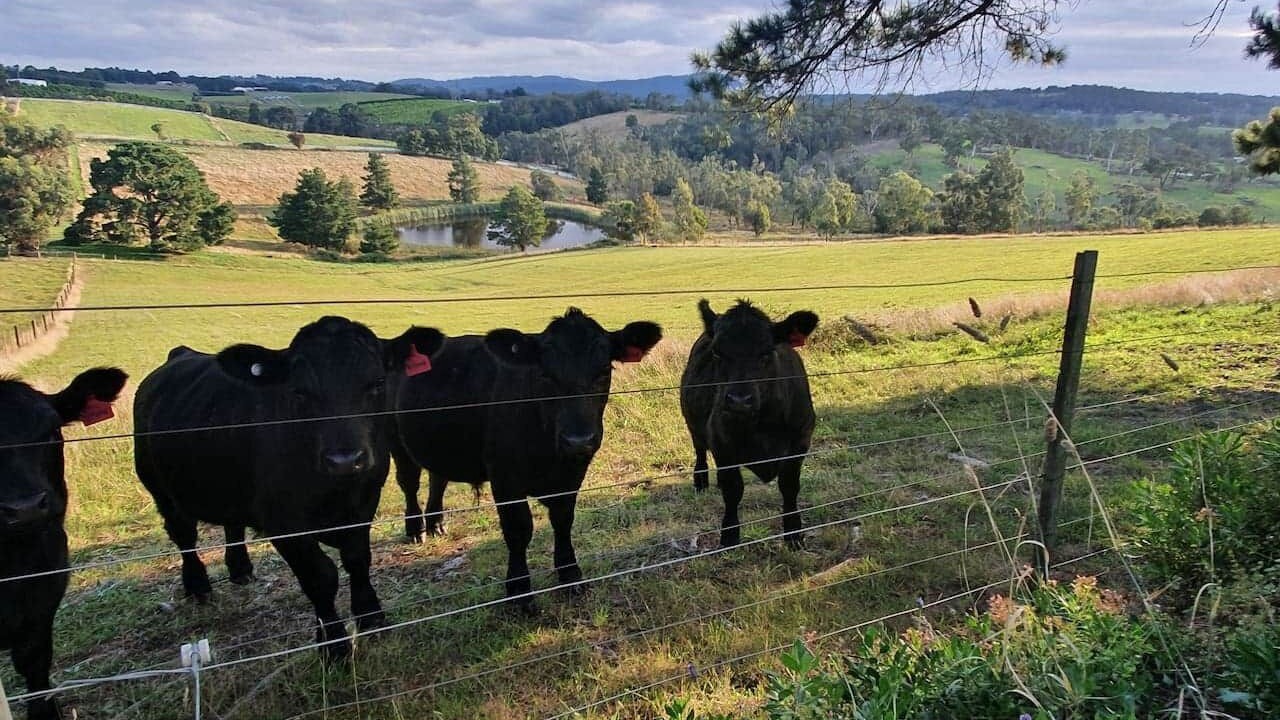 Photo of Others in Gruyere