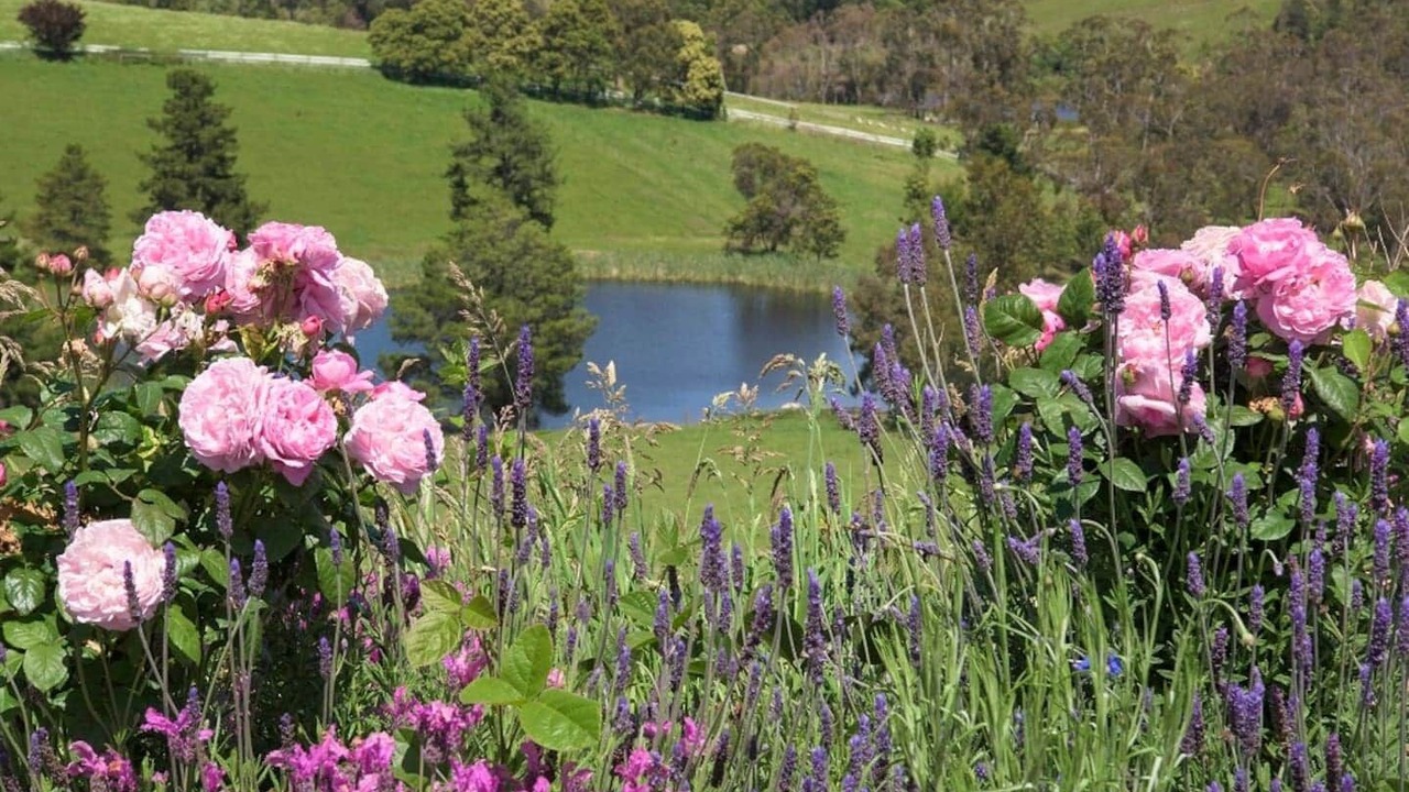 Photo of Outdoor in Gruyere
