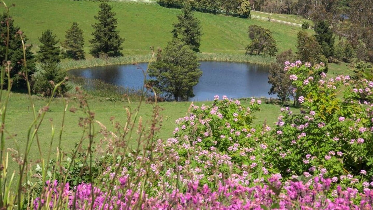 Photo of Outdoor in Gruyere