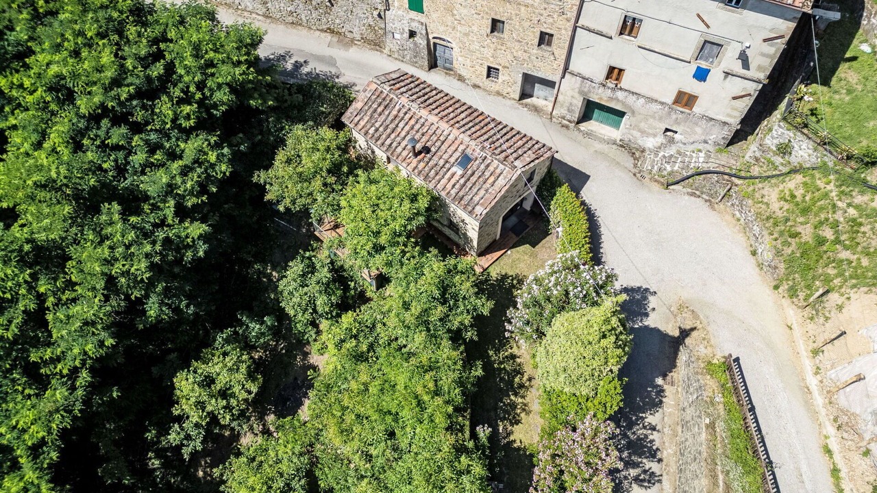 Photo of Others in Pescia