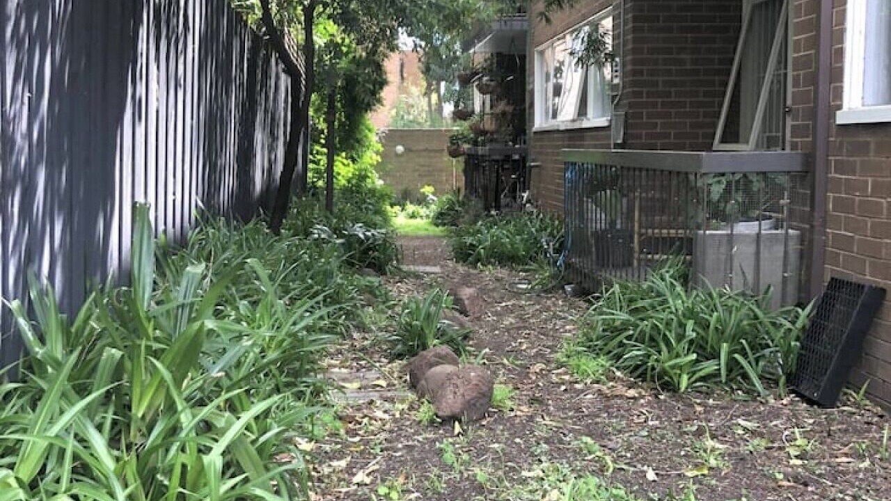 Photo of Outdoor in Fitzroy