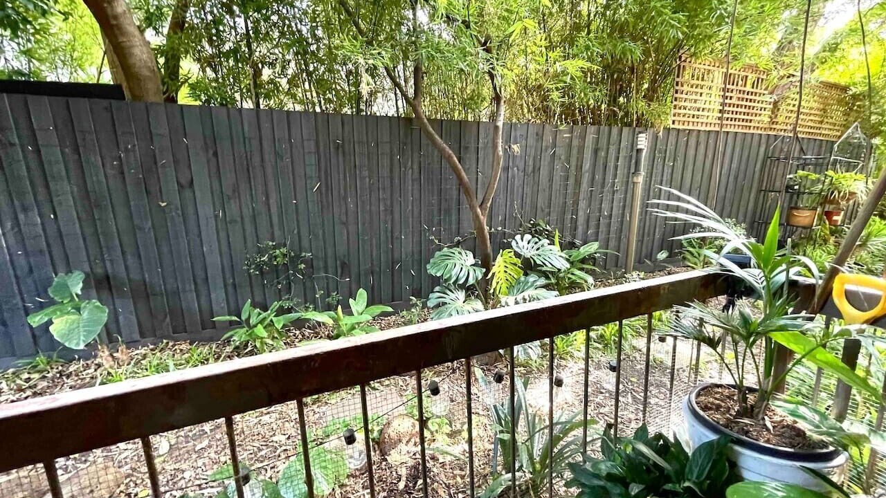 Photo of Outdoor in Fitzroy