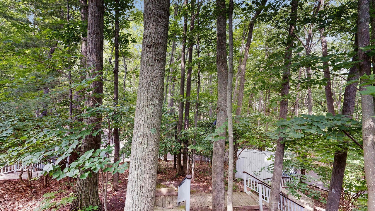 Photo of Outdoor in Maple City