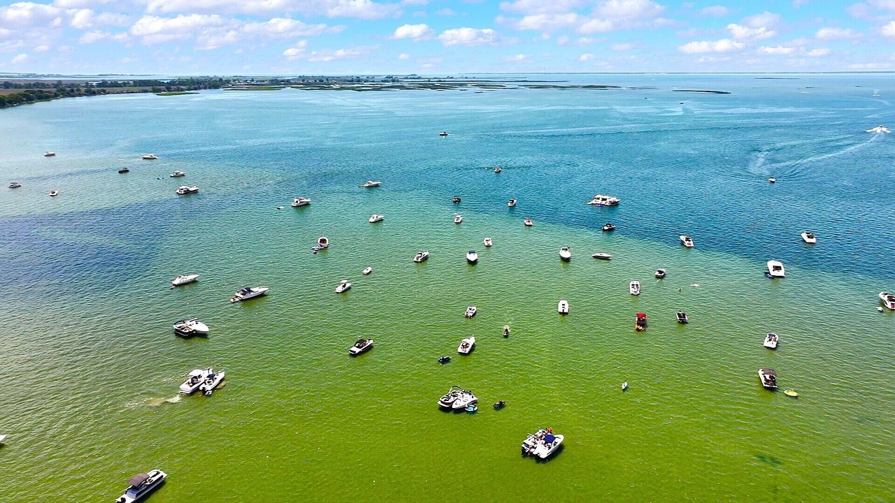 Photo of Outdoor in Anchorville