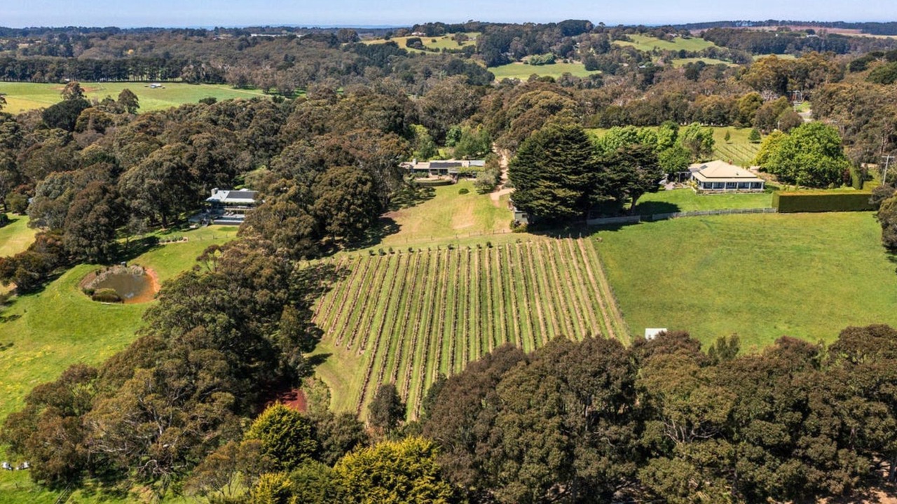 Photo of Outdoor in Main Ridge