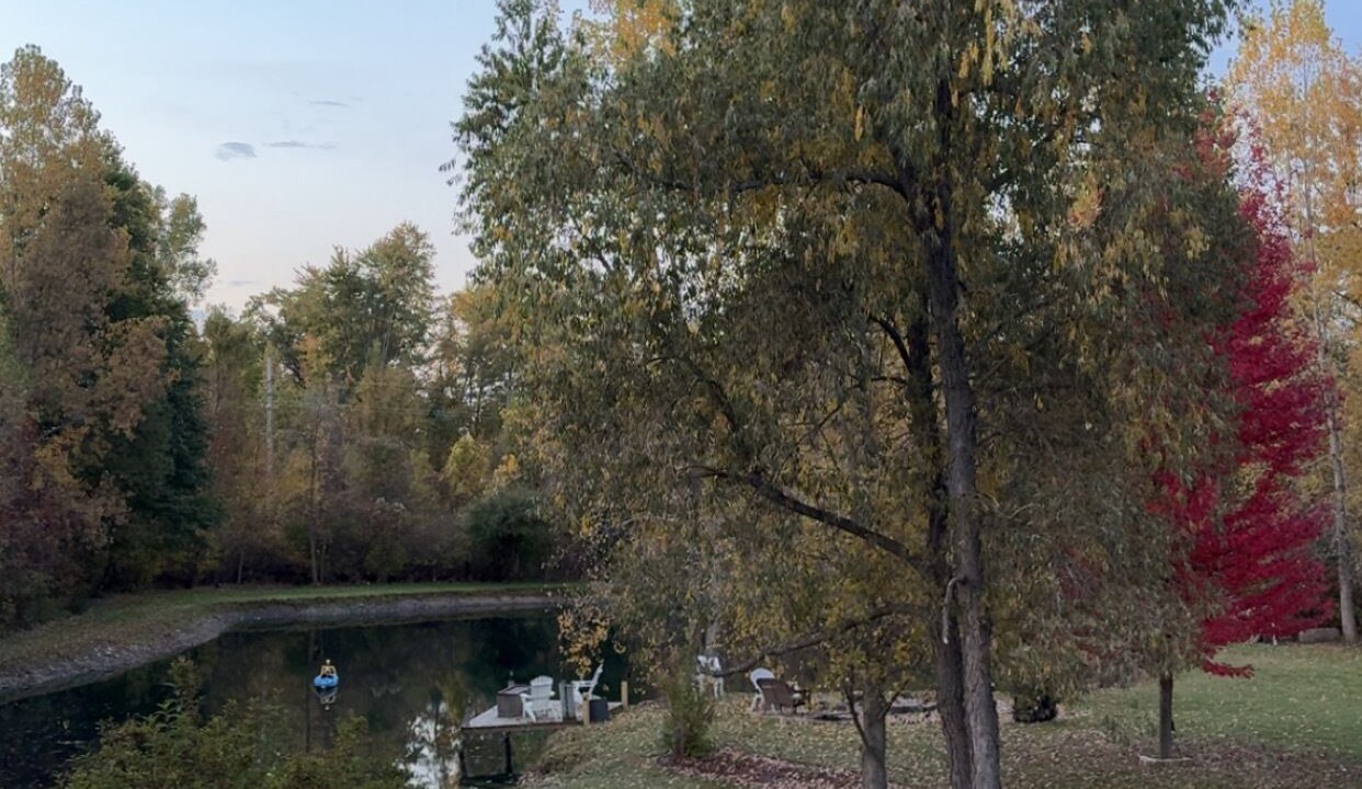 Photo of Outdoor in Port Austin