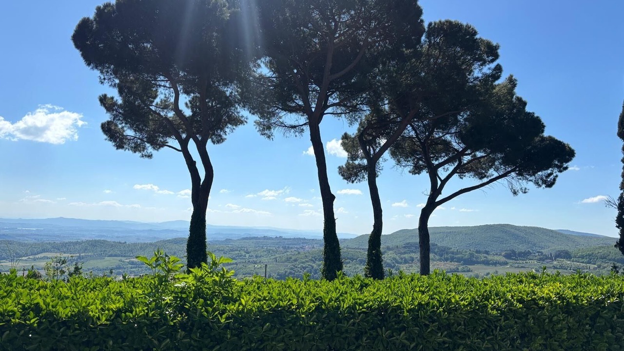 Photo of Others in Castiglione del Lago