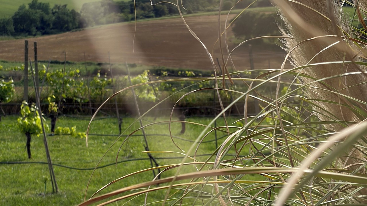 Photo of Outdoor in Castiglione del Lago