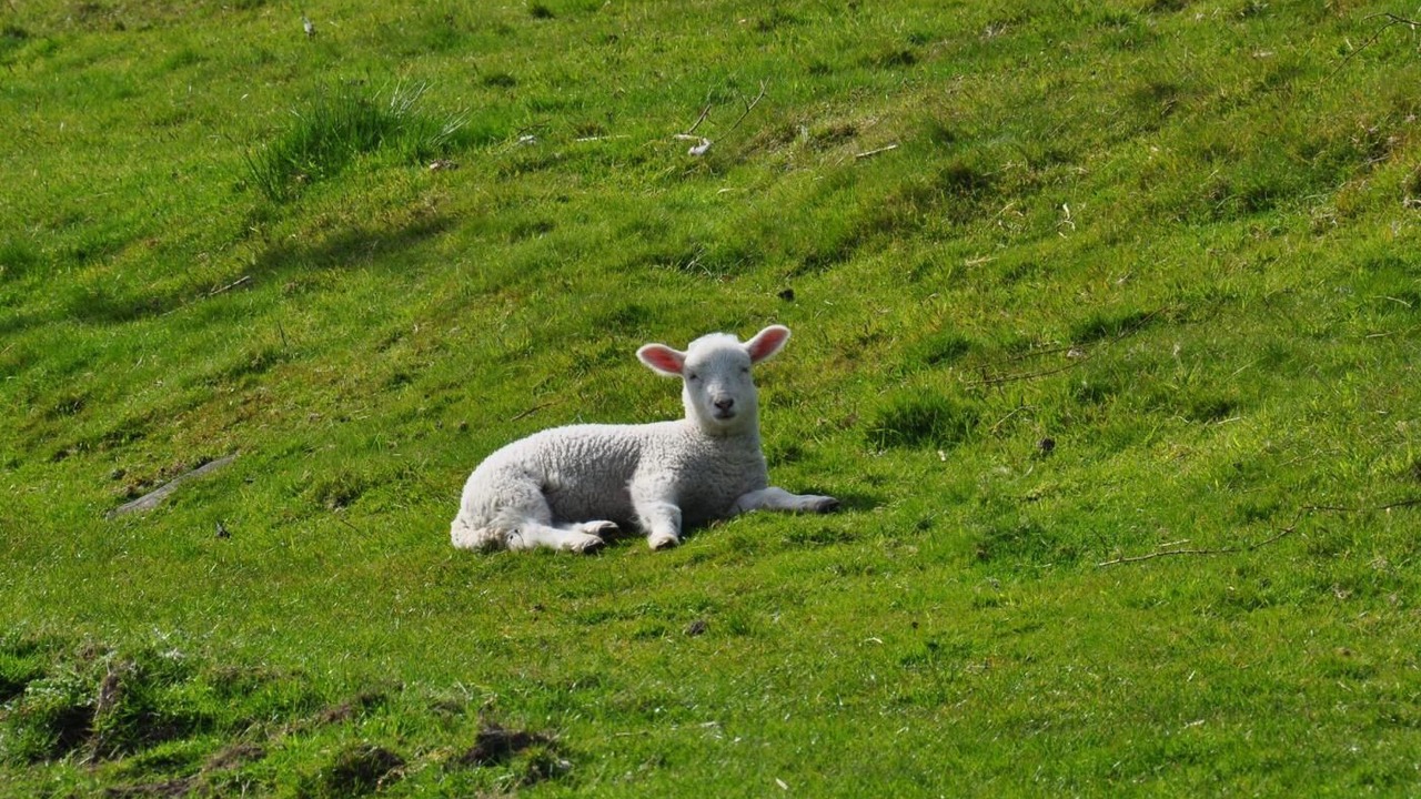 Photo of Others in Whitecroft