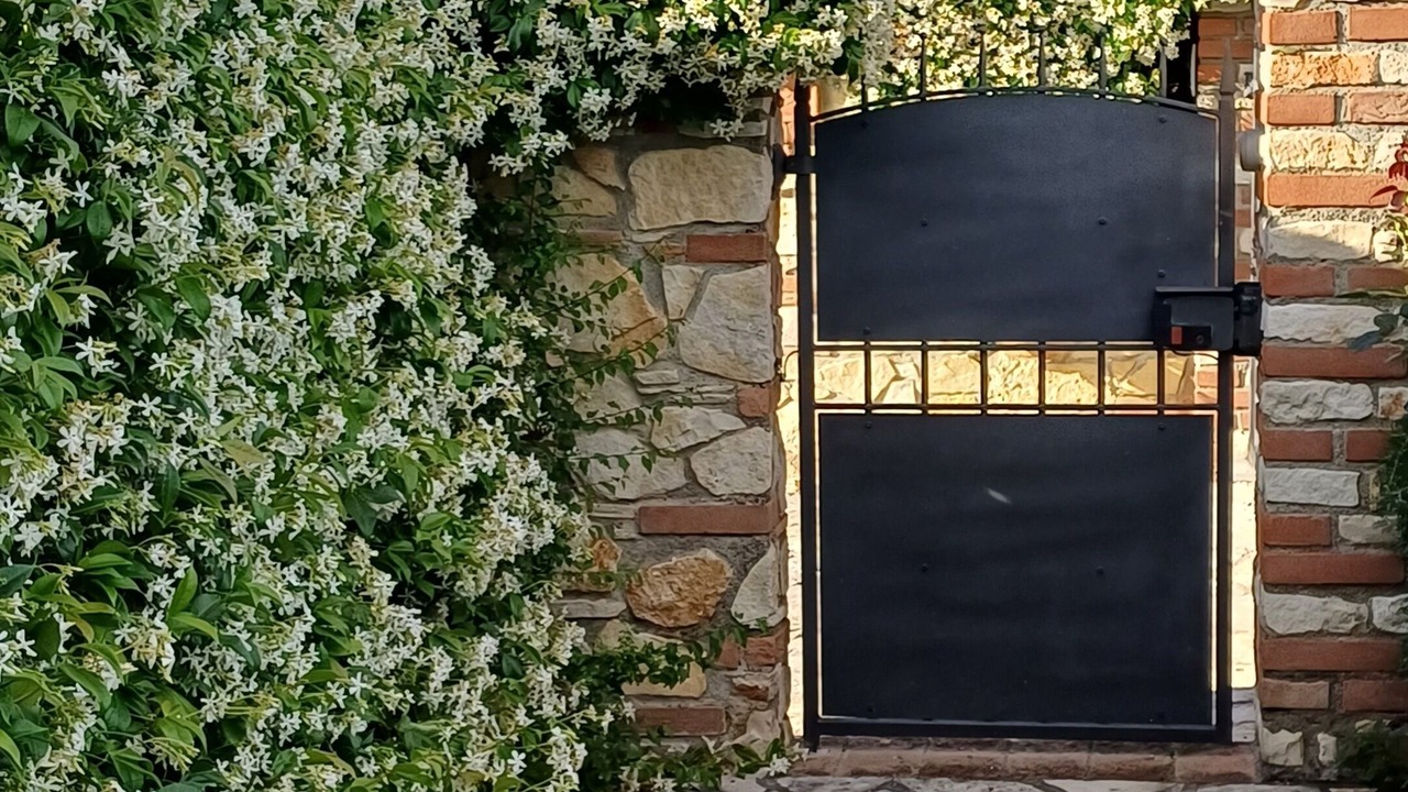Photo of Outdoor in San Miniato
