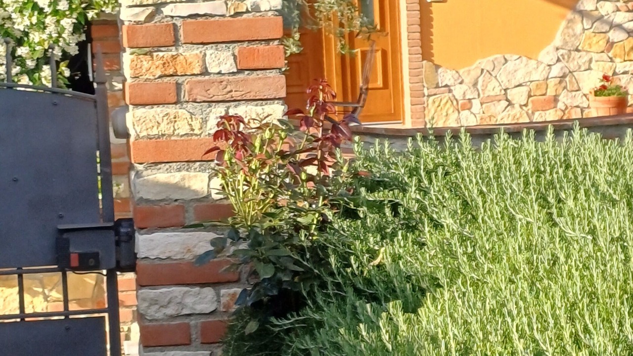 Photo of Outdoor in San Miniato