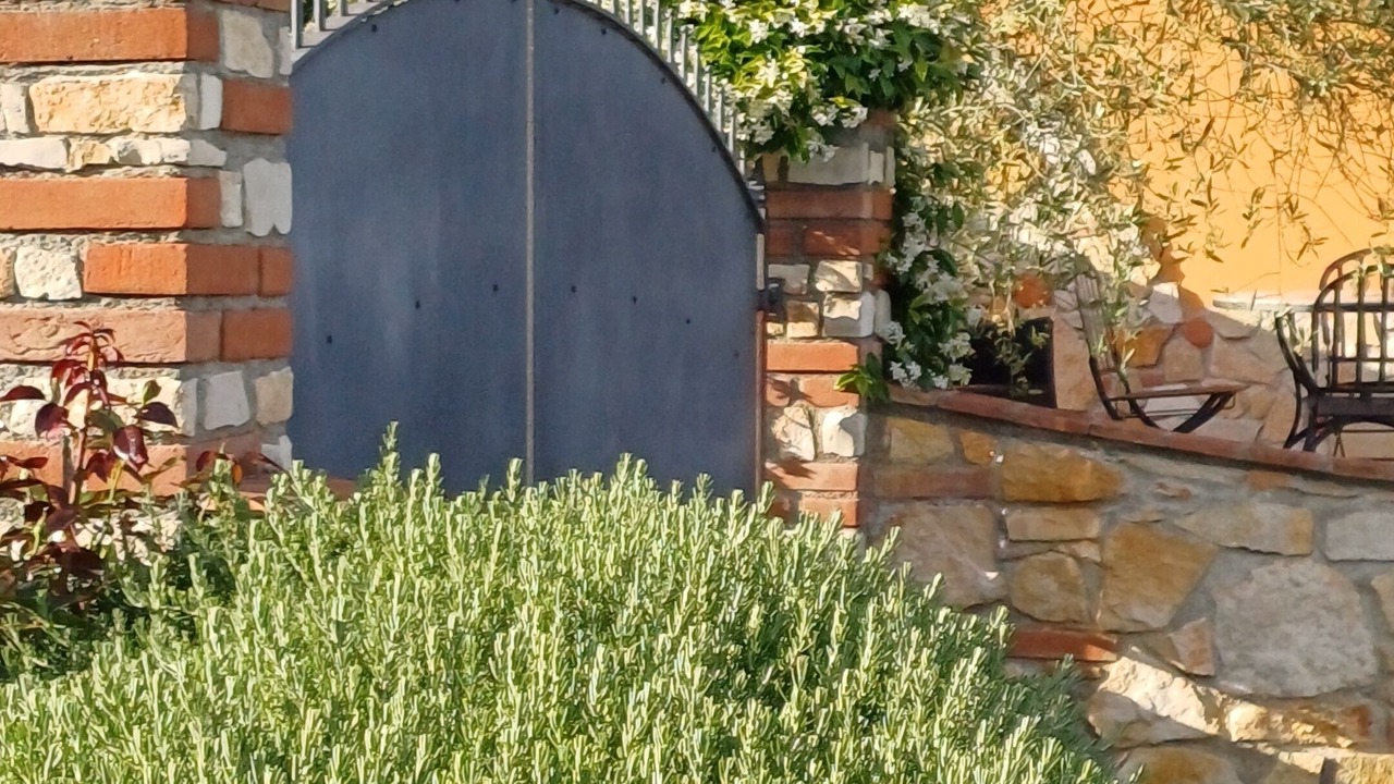 Photo of Outdoor in San Miniato