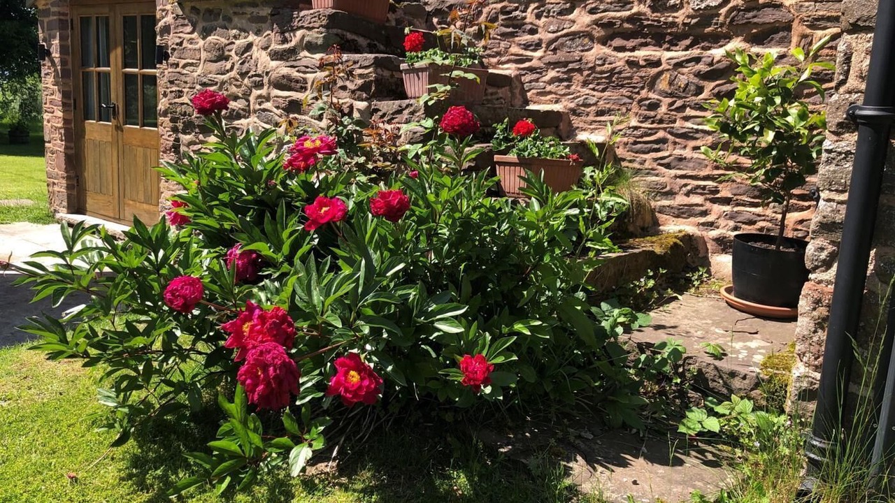 Photo of Outdoor in Chepstow