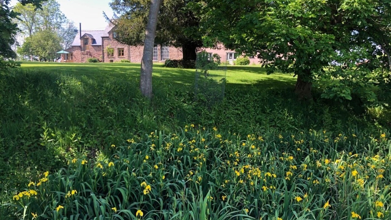 Photo of Outdoor in Chepstow