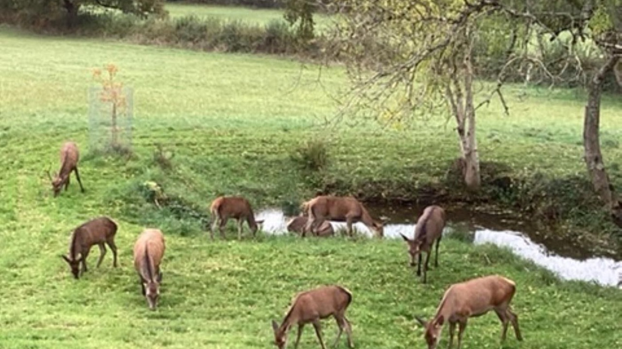 Photo of Others in Chepstow
