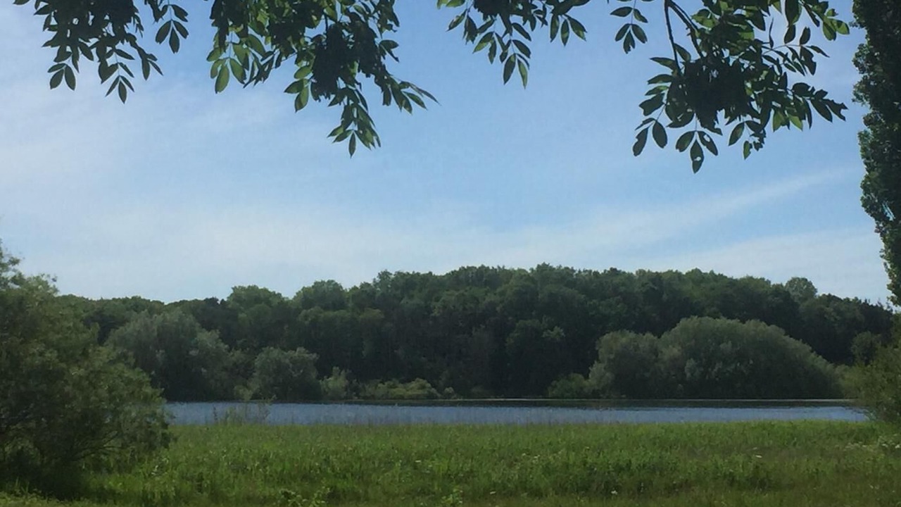 Photo of Outdoor in Bishop Sutton