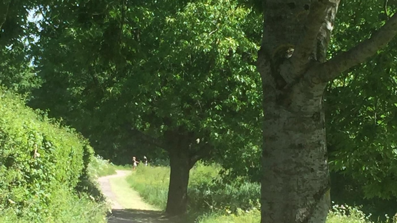 Photo of Others in Bishop Sutton