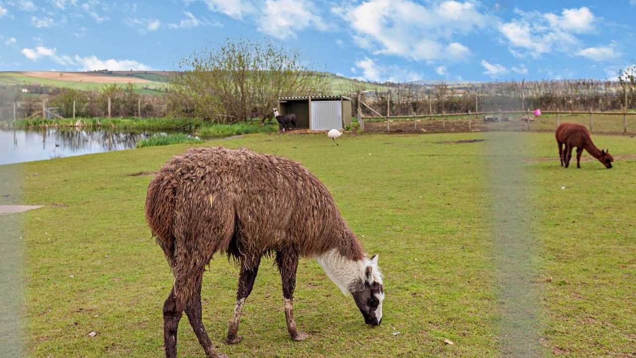 Photo of Others in Chew Magna