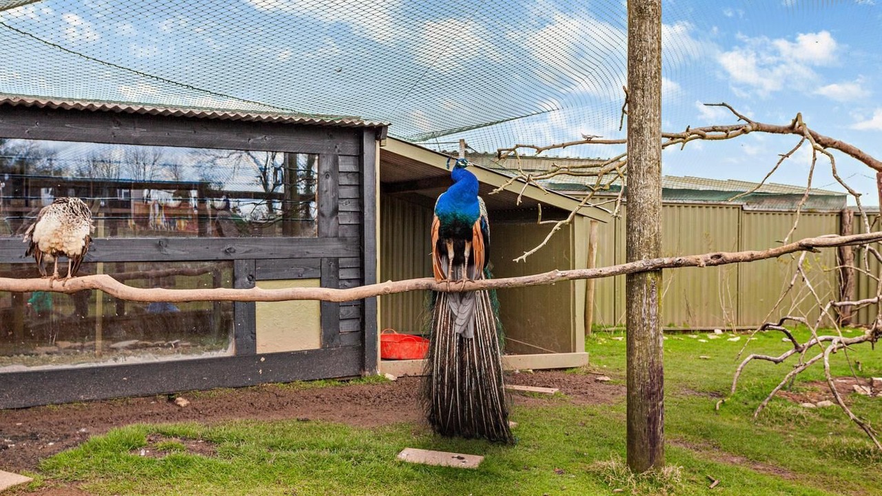 Photo of Outdoor in Chew Magna